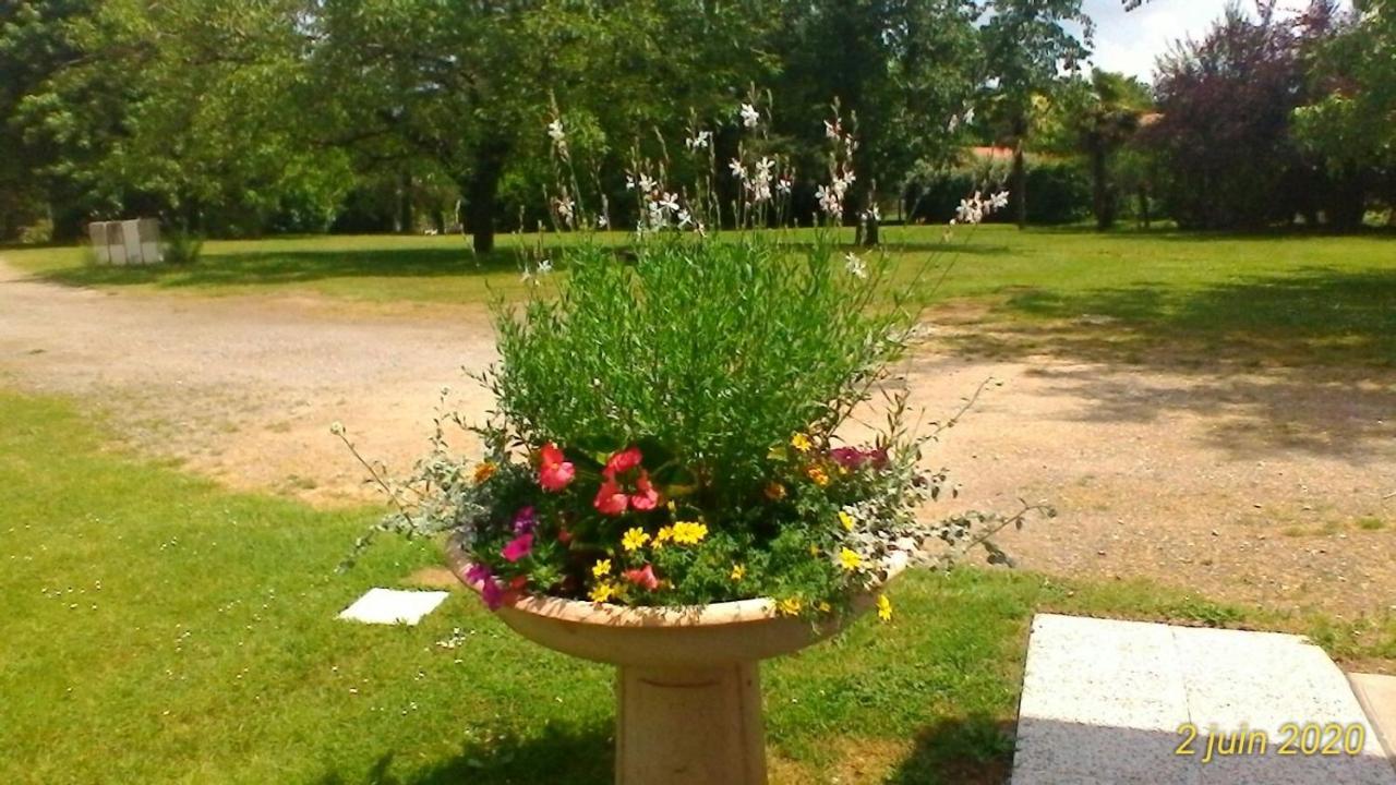 Le Clos Des Palombes Wifi Climatisation Saint-Pierre-du-Mont  Exterior foto