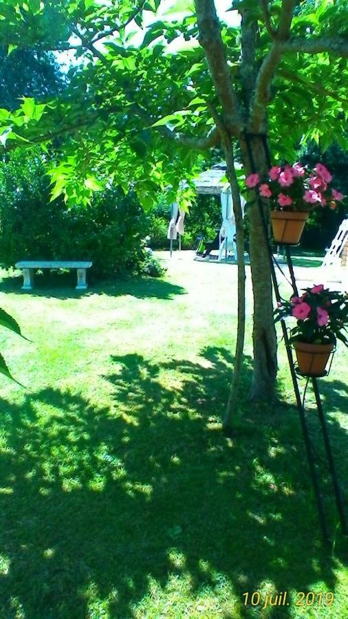 Le Clos Des Palombes Wifi Climatisation Saint-Pierre-du-Mont  Exterior foto